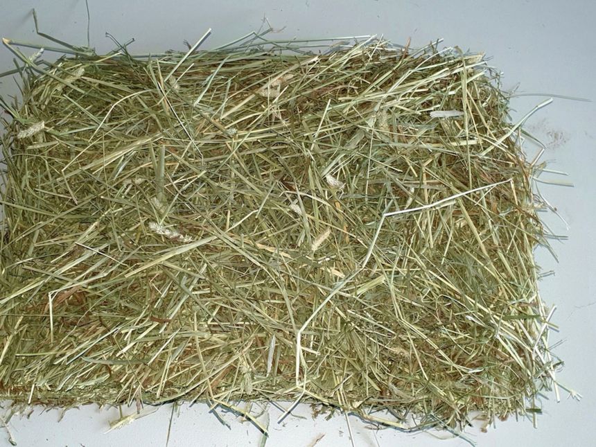 Heu kaufen Premium Heu & Stroh günstig Online vom Heuandi